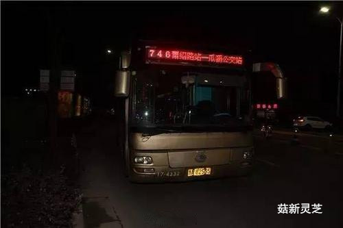 事發(fā)公交車 菇新靈芝孢子粉