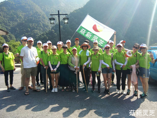 菇新靈芝黃山行